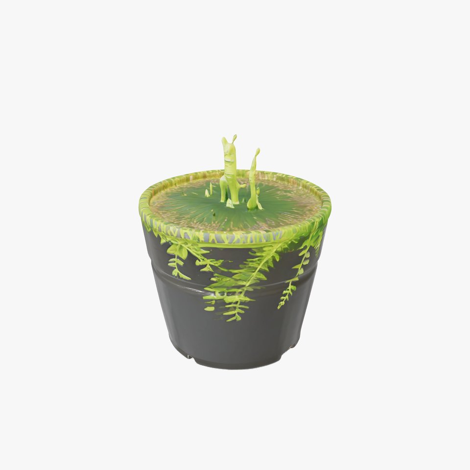 Vibrant Fern Plant model pack